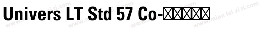 Univers LT Std 57 Co字体转换